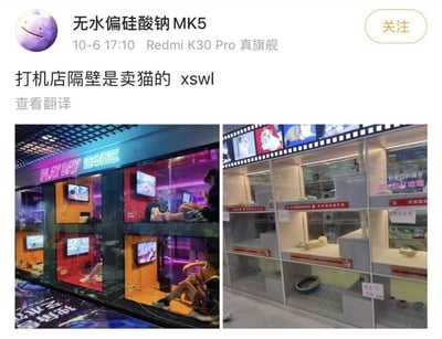 这是一条来自国内社交媒体的用户动态截图，发布者昵称是“无水偏硅酸钠MK5”，使用Redmi K30 Pro设备于10月6日17:10发布。动态包含左右两张实拍图：左侧是名为“PLAY DAY 运动特区”的打机店，店内设置了多个独立的玻璃隔间，每个隔间配备显示屏和座椅，有顾客正坐在隔间内游玩电子游戏，店内以橙红、紫色的鲜艳灯光营造出电竞氛围；右侧是紧邻打机店的猫咪售卖店，店内是多层玻璃猫柜，柜内配备猫砂盆、食碗等猫咪生活设施，还有猫咪在柜内活动。发布者配文“打机店隔壁是卖猫的 xswl”，利用“打机”与“打鸡”的谐音，结合猫捉鸡的常识关联，制造出荒诞搞笑的反差感，“xswl”是网络用语“笑死我了”的缩写，表达出对这个巧合场景的趣味调侃。