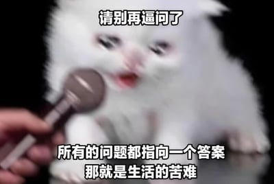 图片中是一只具有拟人化特征的白色猫咪，正被人用麦克风“采访”。猫咪表情无奈又略带嘲讽，配合上方文字“请别再逼问了”和下方文字“所有的问题都指向一个答案 那就是生活的苦难”，形成一种黑色幽默效果，用可爱的动物形象表达对生活压力的调侃。