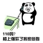 熊猫打电话报警投诉楼上弹钢琴