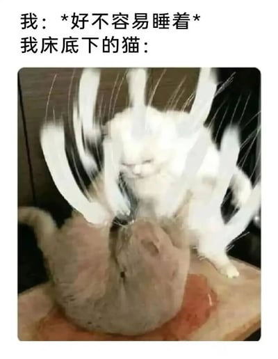 这是一张充满趣味的宠物梗图，上方的情景文字分为两部分：“我：*好不容易睡着*”表现主人终于进入睡眠的疲惫状态，“我床底下的猫：”引出下方的画面——一只白色猫咪正亢奋地挥动爪子，画面添加的动态线条夸张地强化了它疯狂拍击另一只灰色猫咪的动作，生动还原了很多养猫人都会遇到的真实日常：当主人想要休息时，宠物却还在精力旺盛地玩耍吵闹，用强烈的情景反差制造出搞笑的效果，很容易引发养猫群体的共鸣。