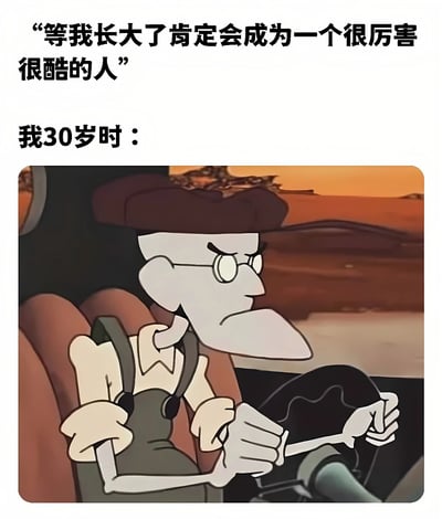 这张梗图通过上下对比的方式，展现了童年梦想与成年现实的差距。上方文字写着"等我长大了肯定会成为一个很厉害很酷的人"，表达了儿时的远大志向；下方则是"我30岁时："加上《胆小狗英雄》中Eustace Bagge严肃开车的画面，形成幽默的反差效果，暗示长大后的生活可能并非想象中那么"厉害很酷"。