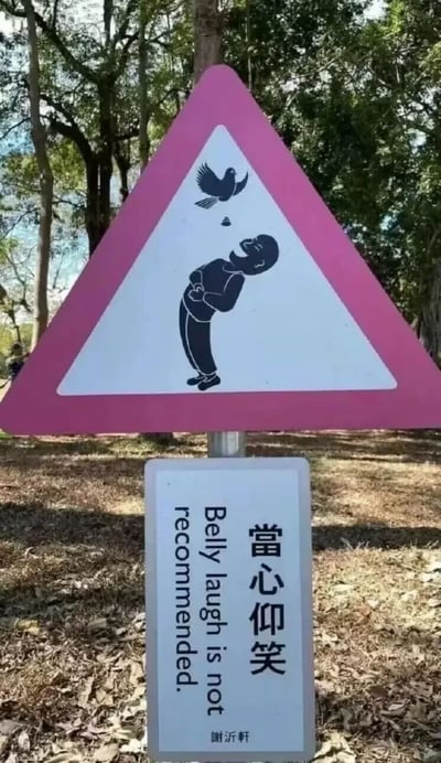 暂无描述