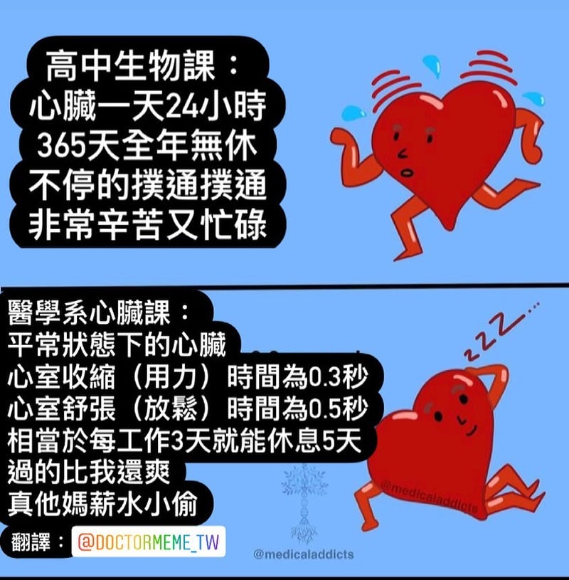 拟人化心脏