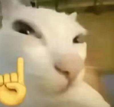 图片为一只白色猫咪的面部特写，猫咪眼神平静，毛色洁白，背景略微模糊。图片左侧叠加了一个黄色的手形emoji，做出竖中指的手势，与猫咪无辜的表情形成鲜明幽默反差，整体营造出搞怪搞笑的效果。