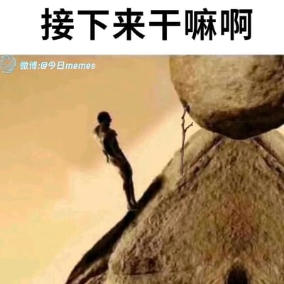 这是一张表达迷茫情绪的恶搞表情包，画面中一个抽象的小人站在岩石的狭窄边缘，身旁一块大石头仅靠一根细小的树枝勉强支撑，随时有坠落的风险，顶部配文“接下来干嘛啊”，通过夸张、窘迫的场景，生动传递出人们在生活、工作中陷入两难困境，不知道下一步该如何行动的迷茫与无助感，非常适合用来抒发不知所措的心态。