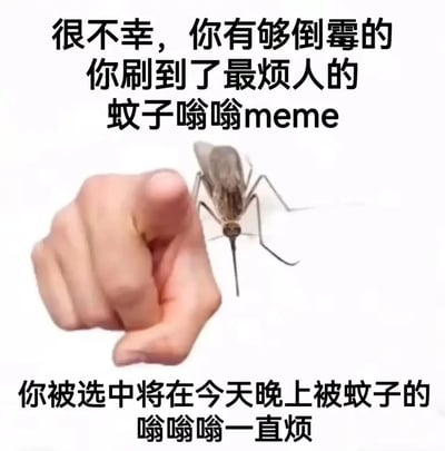 这是一张趣味整蛊类的静态网络梗图，画面分为上下文字区域和中间图像区域。上方文字以调侃的语气告知观看者“很不幸，你有够倒霉的你刷到了最烦人的蚊子嗡嗡meme”，中间是一只被合成在画面里的蚊子，旁边是一只伸出食指指向观看者的人手，仿佛在“点名”选中观看者，下方文字则给出“诅咒”：“你被选中将在今天晚上被蚊子的嗡嗡嗡一直烦”。这张图利用人们日常被蚊子夜间嗡嗡声骚扰的共同烦恼，以玩笑式的“诅咒”制造搞笑效果，适合在社交平台上和朋友互动，传递轻松整蛊的趣味氛围。