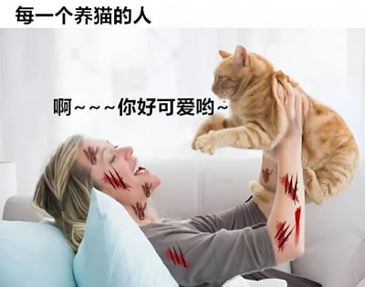 图片中一位女性躺在沙发上，脸上和手臂上有多处明显的猫抓痕，但她依然开心地将一只橘猫举过头顶，对着猫咪说"啊~~~你好可爱哟~"。上方文字写着"每一个养猫的人"，幽默地展现了养猫人虽然常被猫咪抓伤却依然深爱猫咪的矛盾又温馨的日常。