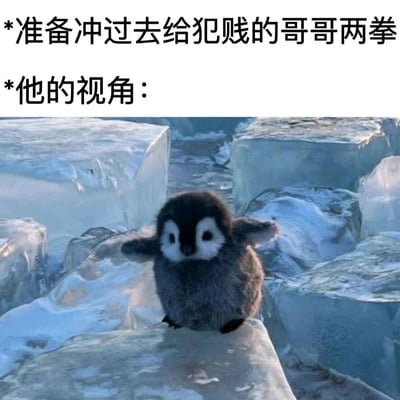 这是一张充满反差感的搞笑图文梗图，上方文字先描述了“我”因为哥哥犯贱，准备冲过去揍他的愤怒状态，随后用“他的视角：”引出下方的图片。图片主体是一只站在冰块上的幼年企鹅，它圆滚滚的，张开小翅膀，模样软萌可爱，毫无威慑力。这张图通过这种视角反差制造笑点，生动地表现出在哥哥的眼里，生气要揍他的“我”不仅没有威胁，反而像这只小企鹅一样弱小又可爱，精准还原了兄妹之间打打闹闹却又亲昵温馨的相处日常，很容易让有兄弟姐妹的网友产生共鸣。