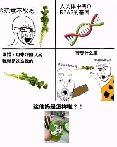 这是一张由四格漫画加底部实拍补充图组成的搞笑梗图，用夸张幽默的方式诠释了人们对香菜喜好不同的科学原因。左上角是一个表情痛苦、崩溃大喊的卡通人物，配文“这玩意不能吃”，旁边摆放着香菜，表现出讨厌香菜人群的强烈排斥情绪；右上角展示了DNA双螺旋结构，配文“人类体中叫OR6A2的基因”，点明影响香菜喜好的关键因素；左下角将香菜拟人化，配文“没错，用来吓阻人类 我就是这么说的”，调侃香菜仿佛是靠这个基因“筛选”出讨厌它的人；右下角是两个没有OR6A2基因的卡通人物，一个对着香菜露出惊讶的表情，一个指着香菜大喊“等等什么鬼”，表现出喜欢香菜的人无法理解讨厌香菜的人的反应，放大了两类人群的喜好反差。底部是一杯实拍的香菜饮品，配文“这他妈是怎样啦？！”，进一步戳中讨厌香菜人群的情绪，调侃如今香菜的应用场景越来越广泛，让这类人群难以接受。