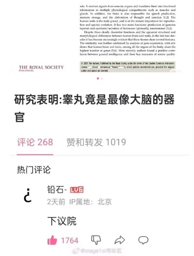 社交媒体截图，内容为一篇引用英国皇家学会（THE ROYAL SOCIETY PUBLISHING）论文片段的帖子，标题以醒目中文标注“研究表明:睾丸竟是最像大脑的器官”。帖子下方显示有268条评论、1019次赞和转发，热门评论来自用户“钻石- LU6”（IP属地北京），内容为“下议院”，获1764个点赞。图片底部有水印“@stage1st宅社区”。