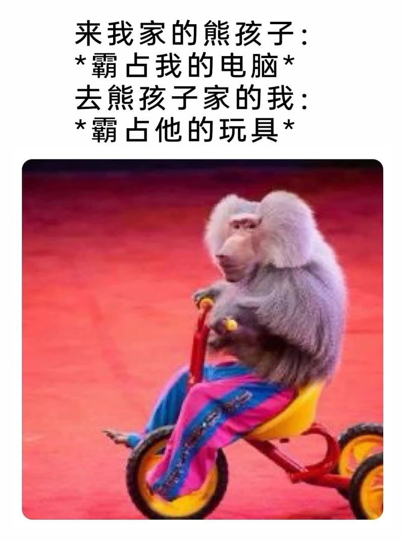 马戏团表演动物