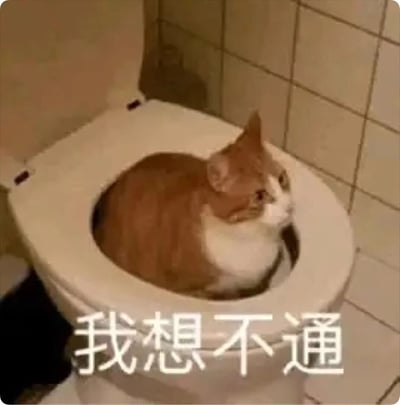 一只橘白相间的猫蜷缩在白色马桶的 bowl 里，身体几乎填满整个空间，头部微微抬起，眼神带着一丝疑惑望向右侧。图片底部有醒目的白色文字“我想不通”，通过猫咪奇特的位置和拟人化的表情，生动展现出一种对某事百思不得其解的迷茫状态，充满生活趣味与共鸣感。