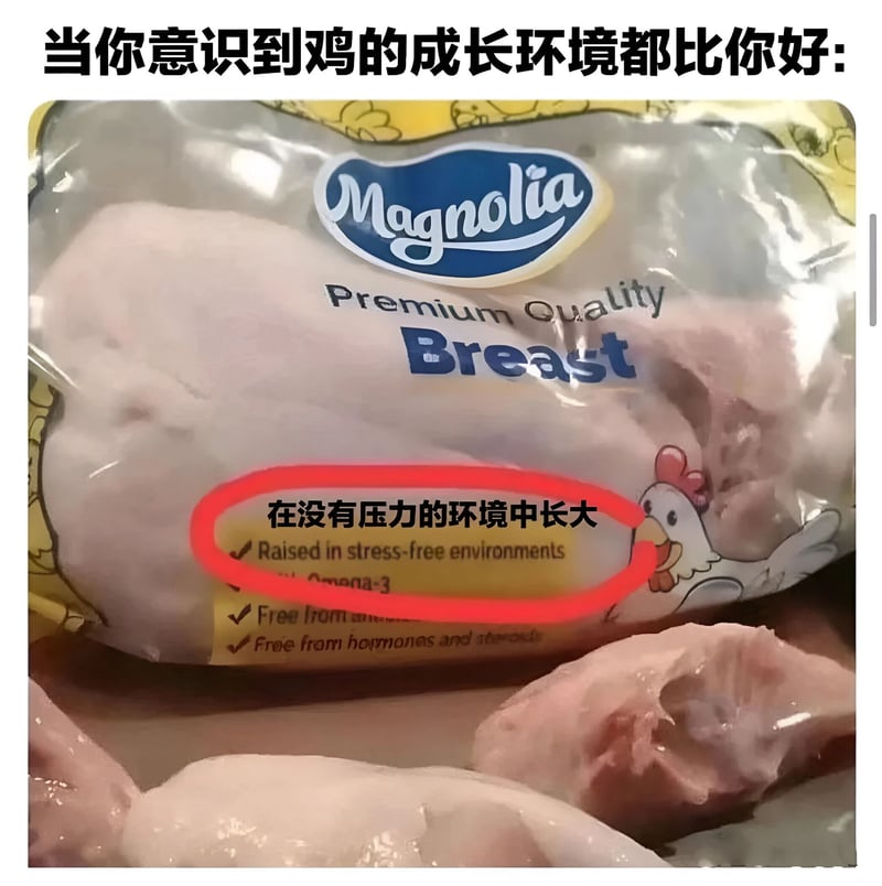 Magnolia产品包装