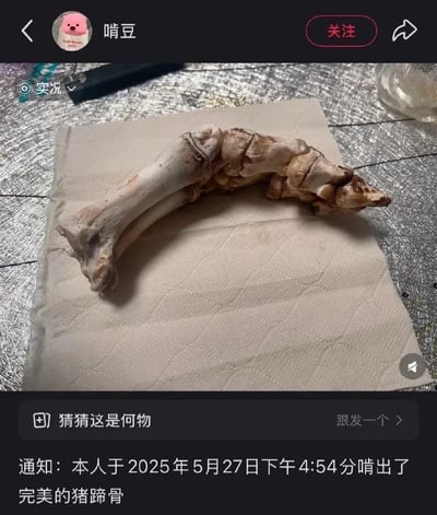 这是一张社交平台发布的实拍图，图中显示一块被彻底啃净的猪蹄骨头，被整齐地摆在餐巾纸上。配文以“通知”的形式幽默地宣布‘我于2025年5月27日下午4:54分啃出了完美的猪蹄骨’。整个场景透露出对自己“啃骨”成果的自豪，也有调侃和纪念日常‘成就’的味道。

值得注意的是，配文采用了“通知”格式，以及精确的时间，加重了仪式感和幽默感。某种程度上有轻微自嘲或调侃日常成就的意味，加入不会有人关心的小确幸事件变成大新闻的反差喜剧效果。