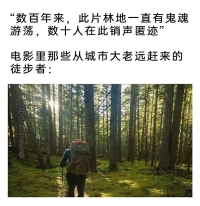 这是一张吐槽恐怖电影固定套路的梗图，上方文字先铺垫一处充满诡异传说的林地背景：“数百年来，此片林地一直有鬼魂游荡，数十人在此销声匿迹”，随后引出“电影里那些从城市大老远赶来的徒步者”；下方配图是一位背着大型登山包、手持登山杖的徒步者，正走进一片阳光洒落、树木茂密的静谧林地，用真实的户外徒步场景，对应恐怖电影里明知区域危险、却仍执意踏入的“作死”角色，讽刺了这类不合常理的经典剧情设定，制造出搞笑反差感。