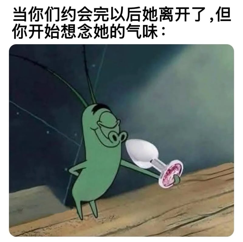 动画剧集