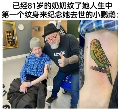 图片由左右两部分拼合而成，上方配有文字说明“已经81岁的奶奶纹了她人生中第一个纹身来纪念她去世的小鹦鹉：”。左侧画面中，一位81岁的奶奶坐在纹身工作室的椅子上，身穿蓝色格子衬衫，头戴灰色针织帽，面带微笑，手臂上露出刚完成的纹身。旁边站着一位纹身师，戴着黑色礼帽和眼镜，身穿黑色Levi's卫衣，手臂有纹身，正竖起大拇指，两人看起来都很开心。右侧画面是纹身的特写，图案是一只色彩鲜艳的小鹦鹉，黄色头部，绿色身体带有黑色斑纹，爪子抓着树枝，细节生动，展现了对去世宠物的纪念。