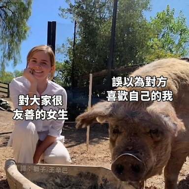 这张梗图通过画面左右的内容对比，左边是一位面带微笑、手托脸颊的友善女生，配文“对大家很友善的女生”；右边是一头表情冷漠、看起来有些不耐烦的猪，配文“误以为对方喜欢自己的我”。用生动的画面反差，调侃了那些在社交中自作多情，误将他人的普遍友善当成特殊好感的尴尬瞬间，精准戳中了很多人经历过的社死时刻，容易引发共鸣。