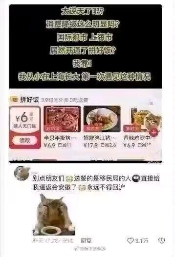 图片上方为网友震惊言论：“太逆天了吧？消费降级这么明显吗？国际都市上海市居然开通了拼好饭？我靠！我从小在上海长大第一次遇见这种情况”。中间是外卖APP“拼好饭”界面截图，显示“3.9元起外卖 0配送费”，含“半只手撕鸭（￥6.9）”“招牌陈江菜（￥17.8）”“香辣鸡脆中（￥6.9）”等低价菜品。下方为网友调侃评论：“别点朋友们 送餐的是移民局的人 直接给我遣返安徽了 永远不得沪”，配图为一只愤怒表情的猫注视碗中食物，评论获3.1万点赞。整体通过拼接外卖界面、网友评论和表情包，以幽默夸张方式吐槽上海出现低价拼饭服务引发的“消费降级”讨论。