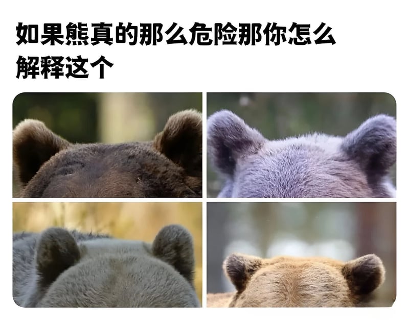 熊