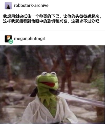 这是一张来自海外社交平台的互动梗图，上方用户robbstark-archive发布了一段带有抖S趣味的发言，表达了想用剑尖抵住帅哥下巴、观察其恐惧与兴奋交织情绪的想法；下方用户meganphntmgrl则用一张经过二次创作的科米蛙梗图回应，图中的科米蛙被剑抵住下巴，眼睛上翻，表情呈现出兴奋又迷离的状态，完美呼应了发言中描述的复杂情绪，用搞笑的卡通形象消解了发言中的尖锐感，充满玩梗趣味，在社交平台的互动中形成了幽默的效果。
