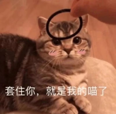 一只虎斑猫被人用黑色发圈在头顶比划成圆圈，脸颊被P上了粉色腮红，眼神呆萌地看着前方。图片底部配有文字'套住你，就是我的喵了'，利用'圈套'的双关含义，既指物理上的发圈，又指情感上的'俘获'。