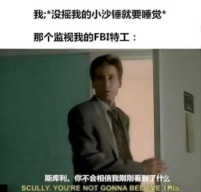 这张梗图由上方文字和下方影视截图组成。上方文字描述："我:*没摇我的小沙锤就要睡觉* 那个监视我的FBI特工："，下方是《X档案》中特工穆德开门的经典截图，配文"斯库利。你不会相信我刚刚看到了什么"。图片通过将日常小事（没摇沙锤就睡觉）与FBI特工的夸张反应形成对比，制造幽默效果。