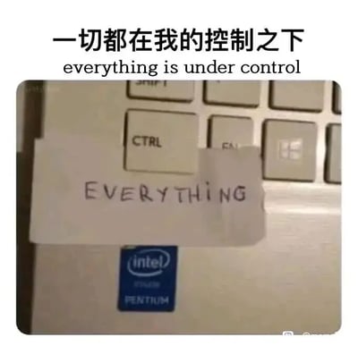 这是一张创意搞笑的静态梗图，主体为笔记本电脑的键盘局部，键盘上的CTRL（英文control“控制”的缩写）按键上方，被贴上了一张手写着英文“EVERYTHING”的纸条。图片顶部配有中文文字“一切都在我的控制之下”和对应的英文“everything is under control”。该图利用CTRL按键的英文含义，制造了“控制（CTRL）一切（EVERYTHING）”的双关效果，以幽默的方式表达一种看似掌控全局的状态，实则带有自嘲意味，常被职场人士用来调侃工作状态，在网络上作为搞笑表情包或梗图传播。
