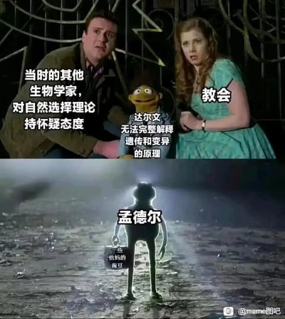 这是一张以生物学史为内容的搞笑科普梗图，采用上下对比的多图拼接形式。上半部分还原了达尔文提出自然选择理论后所处的困境：当时的其他生物学家对该理论持怀疑态度，教会作为传统势力也对其持反对立场，而达尔文自身无法完整解释遗传和变异的核心原理，创作者用影视中的真人角色分别代表怀疑的生物学家和教会，用科米蛙形象代表达尔文，通过角色惊讶、窘迫的神态，生动呈现出进化论在当时面临的质疑与理论缺陷。下半部分则以救世主登场的剪影形式，展现孟德尔提着装有“一些他妈的豌豆”的箱子出现的场景，调侃孟德尔通过豌豆杂交实验发现了遗传规律，恰好填补了达尔文进化论中关于遗传变异原理的空白，用幽默的方式科普了这段生物学史上的重要互补关系。