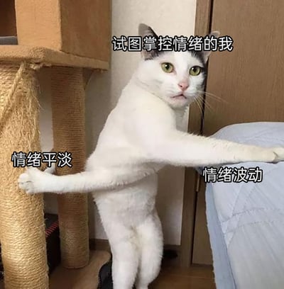 这是一张趣味文字加注梗图，图中的白猫呈现出双爪分别搭在猫爬架和床沿的拉扯姿势，上方标注“试图掌控情绪的我”，搭猫爬架的爪子旁标注“情绪平淡”，搭床沿的爪子旁标注“情绪波动”，用猫咪的肢体姿态生动形象地比喻了人们在试图控制自身情绪时，一边想要维持平静、一边又忍不住情绪起伏的矛盾拉扯状态，精准戳中当代人在生活、职场中面临情绪管理难题的痛点，十分具有共鸣感。