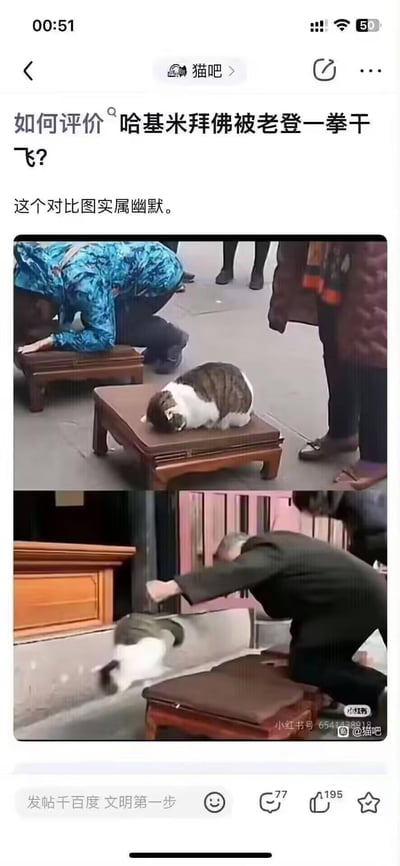这是百度猫吧的网友发帖内容，帖子中用上下两张对比图制造搞笑效果：上图里一只白棕花色的小猫趴在拜垫上，和旁边的路人同步做出拜佛的动作，姿态温顺可爱；下图则是一位老年男性挥拳将这只小猫打飞出去，上下图的强烈反差带来十足的笑点。
网络热词解析：“哈基米”是网友对可爱小猫的亲昵称呼，“老登”是东北方言里对老年男性的调侃式称呼，二者结合让梗图更具网感。