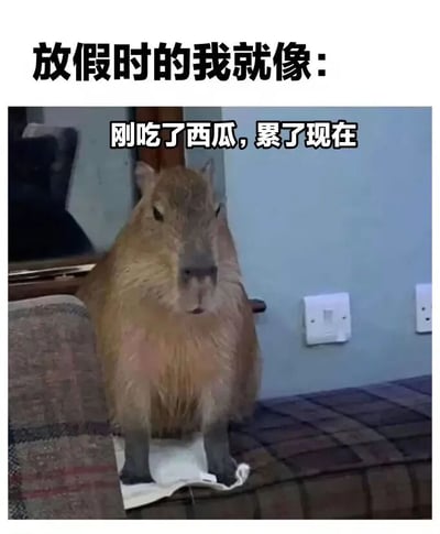图片上方有黑色粗体文字“放假时的我就像：”，下方是一只水豚坐在沙发上，前爪踩在一张纸巾上，表情慵懒。水豚上方叠加文字“刚吃了西瓜，累了现在”，通过将放假后吃撑疲惫的状态与水豚的慵懒姿态对比，营造出幽默共鸣的效果。