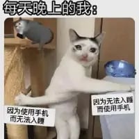 这张梗图以一只表情纠结的真实猫咪为主体，猫咪身体分别朝向左右两侧，仿佛在被两种状态拉扯。图中顶部配有文字“每天晚上的我：”，猫咪左侧配文“因为使用手机而无法入睡”，右侧配文“因为无法入睡而使用手机”，生动还原了当代人睡前陷入玩手机导致失眠、失眠又只能靠玩手机打发时间的恶性循环，画面幽默且精准戳中大众的日常痛点，引发共鸣。