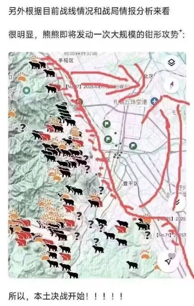 这是一张幽默风格的军事地图梗图，将熊的形象与军事战略分析结合。图中上方文字称"熊熊即将发动一次大规模的钳形攻势"，中间是一张标注了多个区域和地点的地图，上面布满了黑色和红色的熊图标，并用红色线条标示出类似军事进攻的路线。地图上还标注了日期"2025-8-15"和编号"[No.71]"等元素，底部文字则夸张地宣布"本土决战开始！！！！"。整体风格诙谐，用严肃的军事分析口吻描述熊的活动，形成反差萌的搞笑效果。