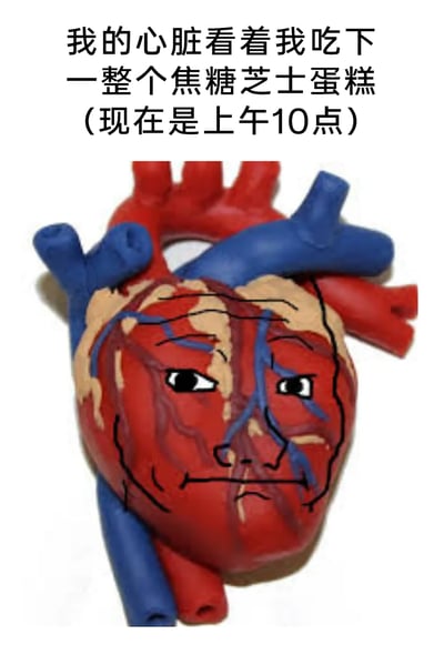 这是一张充满自嘲趣味的网络梗图，上方配有文字“我的心脏看着我吃下一整个焦糖芝士蛋糕（现在是上午10点）”，下方主体是一个用黏土制作的仿真心脏模型，模型表面被手绘出拟人化的人脸，有着下垂的眉眼、无语的眼神，呈现出生无可恋的表情，仿佛在对主人上午10点就食用整块高热量焦糖芝士蛋糕的行为表达无奈与担忧。图片通过拟人化的方式，调侃了人们在放纵食用高热量食物时，对自身健康状况的自嘲式担忧，整体风格搞笑诙谐，精准戳中当代人在饮食自律与放纵之间纠结的心态。