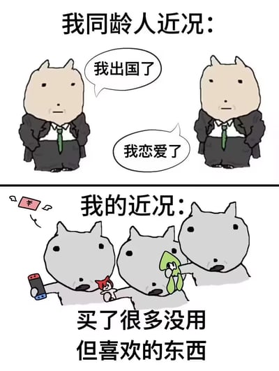 图片分为上下两部分，上方标题为'我同龄人近况'，展示两只穿着西装的卡通狗，分别说'我出国了'和'我恋爱了'；下方标题为'我的近况'，三只灰色卡通狗分别手持游戏机、玩偶和绿色物品，配文'买了很多没用但喜欢的东西'。通过对比同龄人看似光鲜的成就与自己购买无用但喜爱物品的日常，营造幽默自嘲的氛围。
