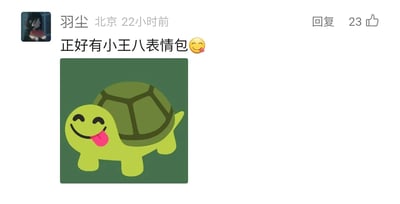 这是一张社交媒体平台的用户评论截图，来自用户“羽尘”，显示地址为北京，发布于22小时前，该评论获得了23个点赞。评论内容为“正好有小王八表情包😋”，并附带了一张卡通风格的乌龟表情包：这只乌龟通体浅绿，背有深绿色龟壳，双眼眯起，吐出粉色舌头，表情俏皮搞怪，整体为静态的卡通图像，用于在网络评论中增添趣味性。