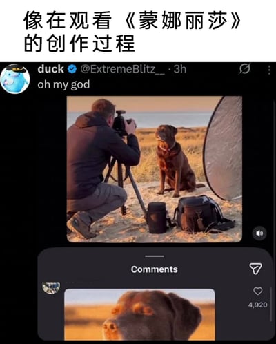 这是一张带有搞笑反差效果的社交媒体截图，顶部配文“像在观看《蒙娜丽莎》的创作过程”，用知名艺术创作的高大上感来调侃画面内容。截图主体是用户duck发布的动态，配文“oh my god”，动态画面呈现了专业的宠物摄影场景：在户外沙滩的草地区域，一位摄影师蹲在地上，使用三脚架、补光灯等专业设备，给一只坐姿端正的巧克力色拉布拉多犬拍摄照片，狗狗看起来十分配合，整体场景显得专业且正式。而在下方的评论区中，有用户发布了这只狗狗怼到镜头前的近距离特写照片，画面和上方专业的拍摄场景形成强烈反差，制造出滑稽的效果，这条评论收获了4920个点赞。整个内容通过这种“专业拍摄”与“翻车成品”的巨大落差，结合《蒙娜丽莎》创作的调侃，凸显出搞笑的网络梗氛围。