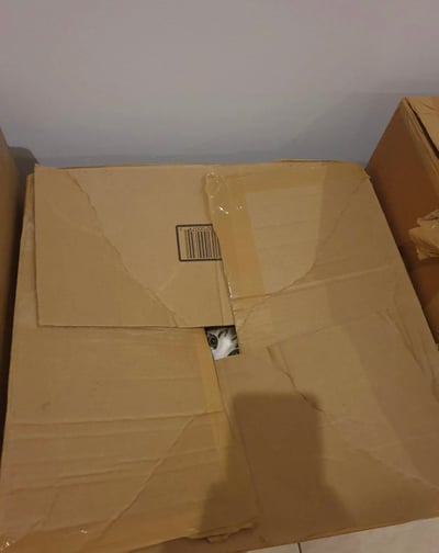 一只猫咪正从纸箱的破洞中偷偷向外张望，只露出一双带着好奇的眼睛。纸箱是常见的棕色快递箱，表面有明显的折痕和胶带痕迹，左上角贴着一个模糊的条形码标签。箱子周围还有其他纸箱，整体场景像是在房间的角落。猫咪的眼睛黑白分明，眼神灵动，给人一种既神秘又可爱的感觉。
