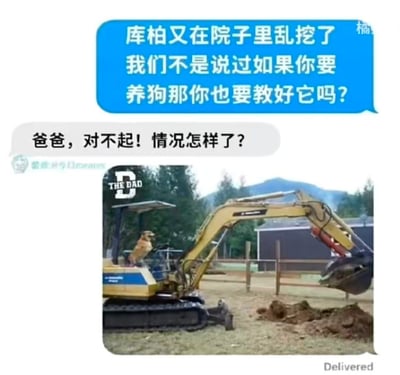 这是一张图文混排的搞笑梗图，上方是模拟的父子对话截图：父亲发消息指责孩子，称家里的狗库柏又在院子里乱挖，质问孩子当初约定好养狗就要管教好它；孩子回复道歉并询问具体情况。下方是一张合成的趣味图片，一只金毛犬坐在挖掘机的驾驶座上，挖掘机的挖斗前已经堆起了土堆，图上配文“THE DAD”，将“狗狗乱挖”的行为夸张到用挖掘机挖掘的程度，通过巨大的反差制造出强烈的搞笑效果，调侃了宠物拆家/乱挖行为的极端化场景。