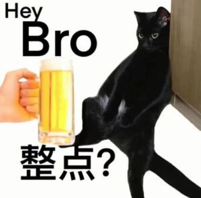 图片左侧有一只手握着装满泡沫啤酒的玻璃杯，杯身金黄，泡沫丰富。右侧一只纯黑猫咪侧身靠墙站立，耳朵竖起，眼睛圆睁，表情严肃地注视着啤酒杯。图片左上角有黑色大写英文字母'Hey Bro'，左下角有黑色加粗中文字'整点?'（意为‘来点吗？’）。整体通过猫咪一本正经的神态与轻松的饮酒邀请形成反差萌，营造出幽默调侃的氛围。