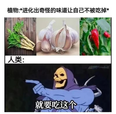 图片上半部分配有文字“植物:*进化出奇怪的味道让自己不被吃掉*”，并展示了三种具有特殊气味或味道的植物：左侧的草本植物、中间的大蒜和右侧的红辣椒，暗示这些植物通过进化出独特味道来自我保护。下半部分以“人类:”引出，画面是一个穿着蓝色斗篷的骷髅角色，手指向前方，下方配有文字“就要吃这个”，幽默地表现出人类反而偏爱这些具有“防御性味道”的植物，形成有趣的对比。