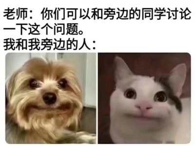 这是一张贴合校园场景的搞笑梗图，上方分为两段文字，第一段是老师的指令：“你们可以和旁边的同学讨论一下这个问题。”，第二段是场景说明：“我和我旁边的人：”。下方左右并列两张动物表情包，左边是一只嘴角僵硬上扬、露出尴尬假笑的小狗，右边是一只眼睛瞪大、嘴角勉强抿起、表情局促尴尬的猫咪。这张梗图用两个动物的尴尬假笑表情，精准还原了学生在课堂上被要求和旁边同学讨论问题时，因与同学不熟或自身社恐，不知道如何开口交流，只能用假笑掩饰尴尬的真实状态，生动地展现了校园里常见的社交尴尬瞬间，极易引发学生群体的共鸣。
