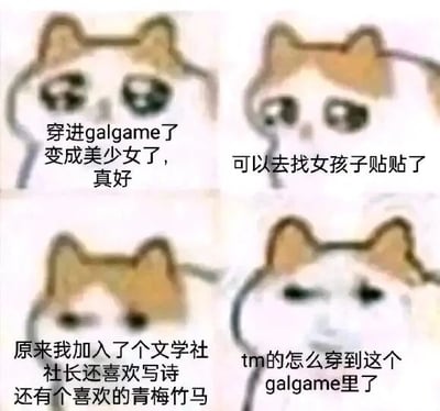 这是一张四格连环的图文混排梗图，采用了知名的mur猫（悲伤小猫）表情包作为模板进行改编，以主角视角展现了穿进Galgame后的心情反转：第一格中，小猫带着憧憬的眼神，配文表达了主角对穿进Galgame成为美少女的期待与喜悦；第二格小猫眼神雀跃，进一步表现出主角想要和女孩子亲密互动的兴奋；第三格小猫眼神低落，配文揭示了这个Galgame的实际内容是偏向文艺日常的文学社设定，和主角的期待不符；第四格小猫一脸烦躁，配文直白地表现出主角的失望与崩溃。整幅图通过表情和文字的反差，玩了Galgame类型预期落差的梗，精准戳中了部分Galgame玩家的心理，在二次元圈子中容易引发共鸣。