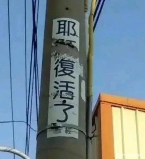 电线杆玄学小广告