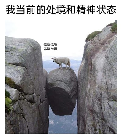 这是一张用于自嘲的梗图，顶部配有文字“我当前的处境和精神状态”，主体画面是挪威知名景点奇迹石的实拍照片，该巨石卡在陡峭的悬崖缝隙之间，下方是深邃的峡谷。网友将一只羊的形象添加到巨石顶端，羊的神态平静淡然，旁边配文“似就似吧 无所吊谓”，其中“似”是“死”的谐音，以谐音梗的方式表达“死就死吧 无所谓”的摆烂心态。整张图用身处极端险境却毫不在意的羊，来比喻自己当前处境艰难、压力重重，但已经破罐破摔、无所谓结果的精神状态，精准戳中当代年轻人面对困境时的自嘲情绪。