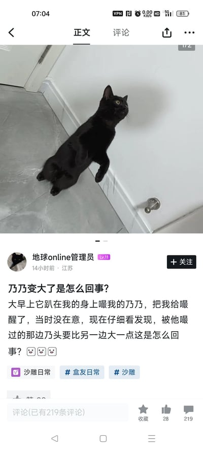 一张社交媒体截图，展示了一只黑色猫咪后腿站立、前爪搭在门上，仰头注视门把手的有趣姿势。图片下方配有搞笑文字，讲述猫咪早上趴在主人身上喝奶，导致主人发现被嘬过的那边乳头比另一边大一点的疑惑。整体画面幽默风趣，展现了宠物与主人之间的搞笑日常。