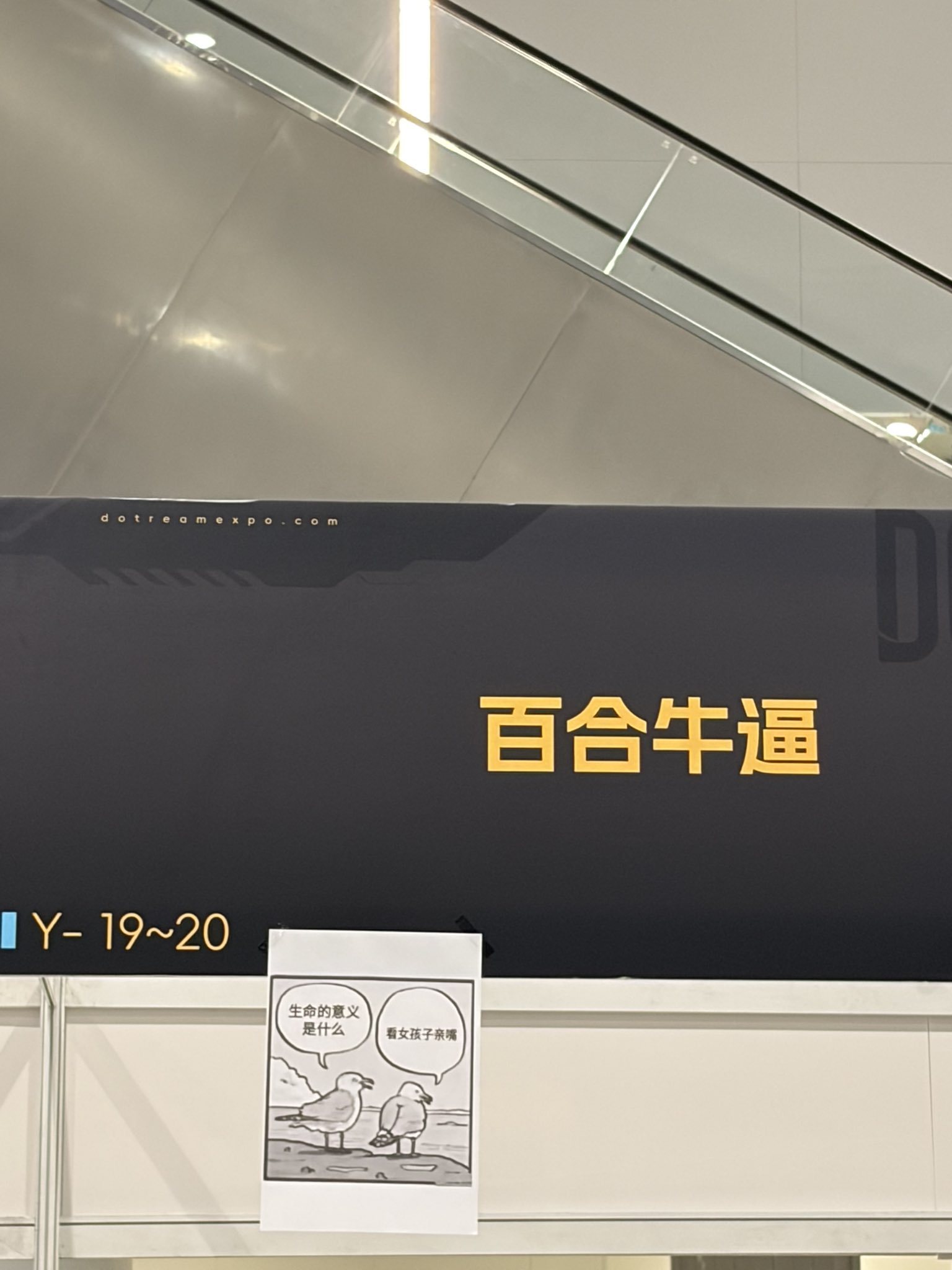 网络海鸥梗图封面