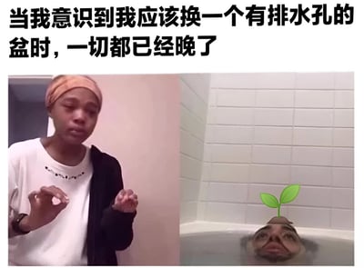 这是一张左右对比的搞笑梗图。左侧是一位戴着发带的人，穿着白色上衣和黑色外套，双手比划着无奈的手势。右侧是一个人的头部浸在浴缸水中，头顶长出了一株绿色的小植物，背景是白色瓷砖墙。图片上方配有文字：'当我意识到我应该换一个有排水孔的盆时，一切都已经晚了'，通过将人头比作没有排水孔的花盆，幽默地表达了植物因积水过多而可能死亡的情景，以及事后才意识到问题的无奈感。