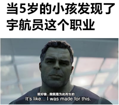 这张梗图上方有文字'当5岁的小孩发现了宇航员这个职业'，下方是绿巨人浩克的严肃特写镜头，配有字幕'就好像...我就是为此而生的'及其英文翻译。图片通过将小孩对宇航员职业的向往与绿巨人坚定的表情结合，幽默地表现出孩子发现梦想职业时的激动与使命感。